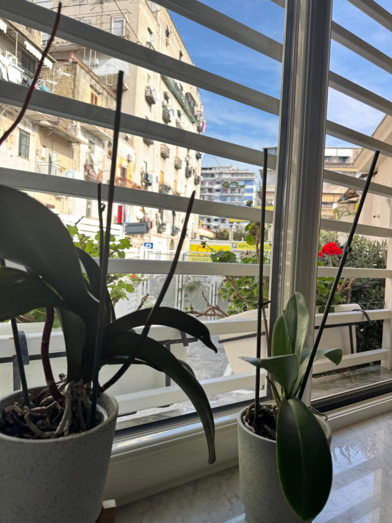 Cosmo 38 Luxury Appartamento Napoli